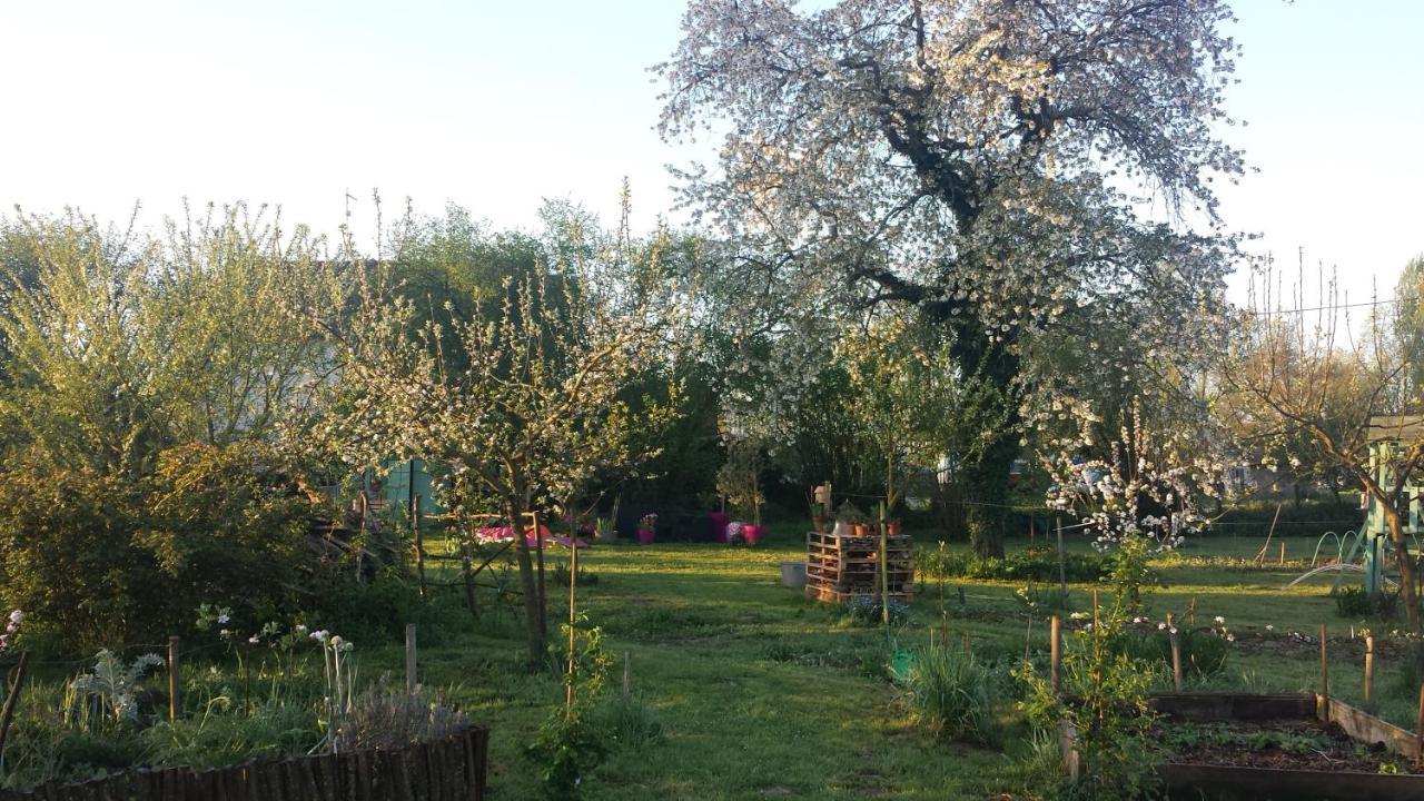 Chambre D'Hotes A La Campagne Nevers Challuy Dış mekan fotoğraf